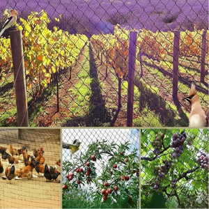 UV-resistant garden netting for birds, deer, fruit trees and vineyards