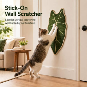 Botanical sisal cat scratcher mat mounted on a door for a cat scratching upright.